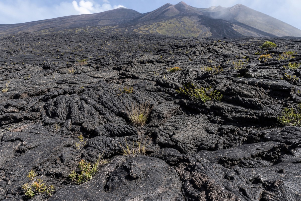 A cooled lava flow on Mount Etna's slopes