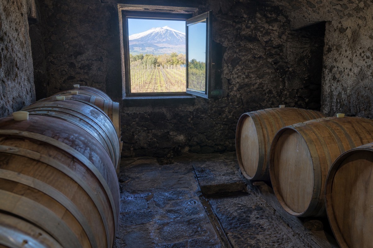 Vineyard rows on Mount Etna's volcanic slopes, part of the Etna DOC